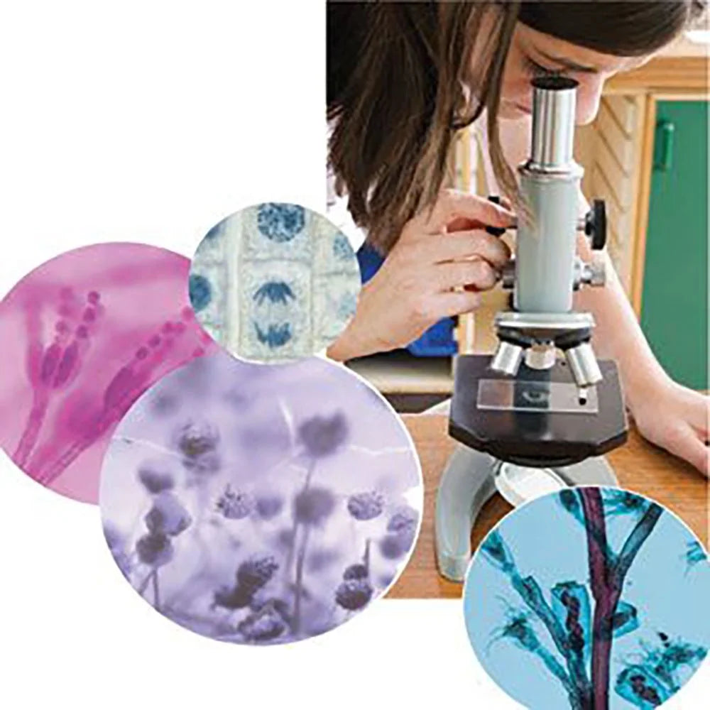 Microscope Slide Set D49937