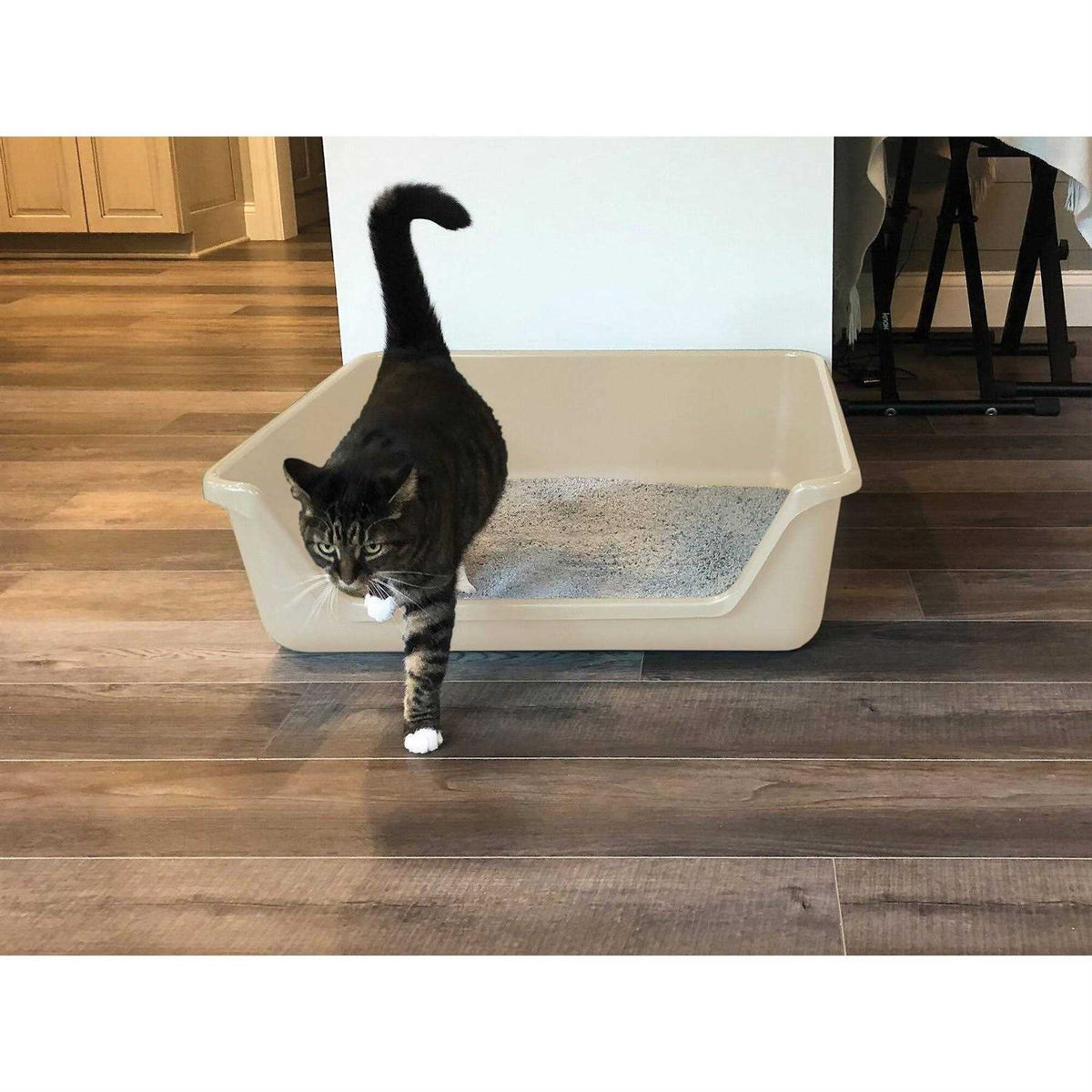 Senior Cat Litter Box I973