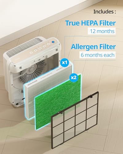 Air Purifier Filter Replacement, 2 Deodorization Filters and 1 True HEPA Filter, Black W46335