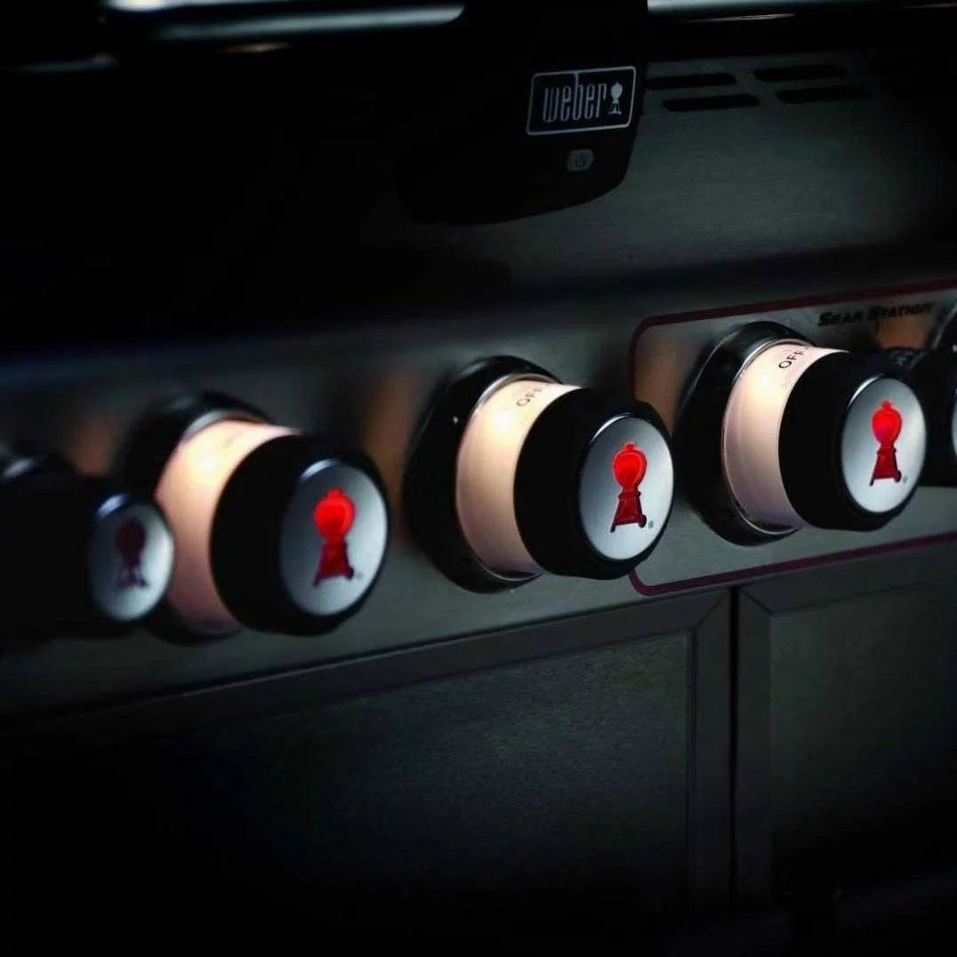Gas Grill H307946