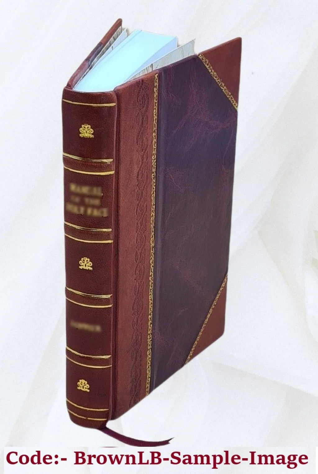 Leather Bound A729705