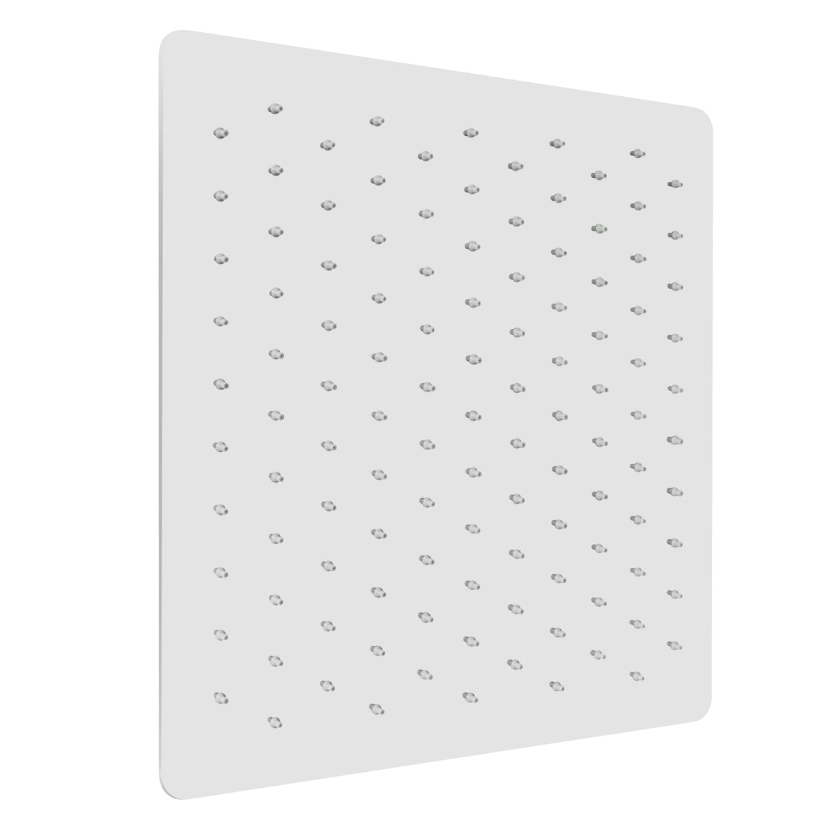 Oversized Shower Head in Chrome S33917