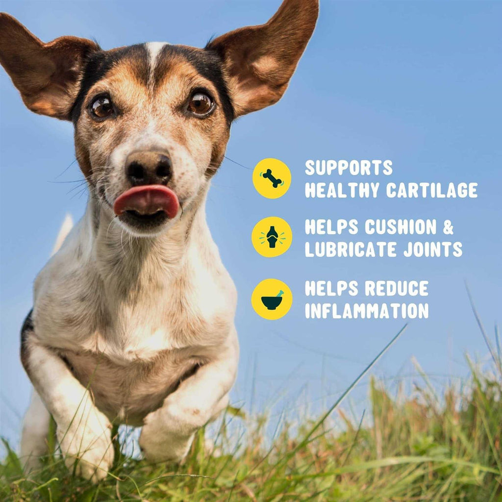 Glucosamine for Dogs Hip and Joint Supplement with Chondroitin Y96662