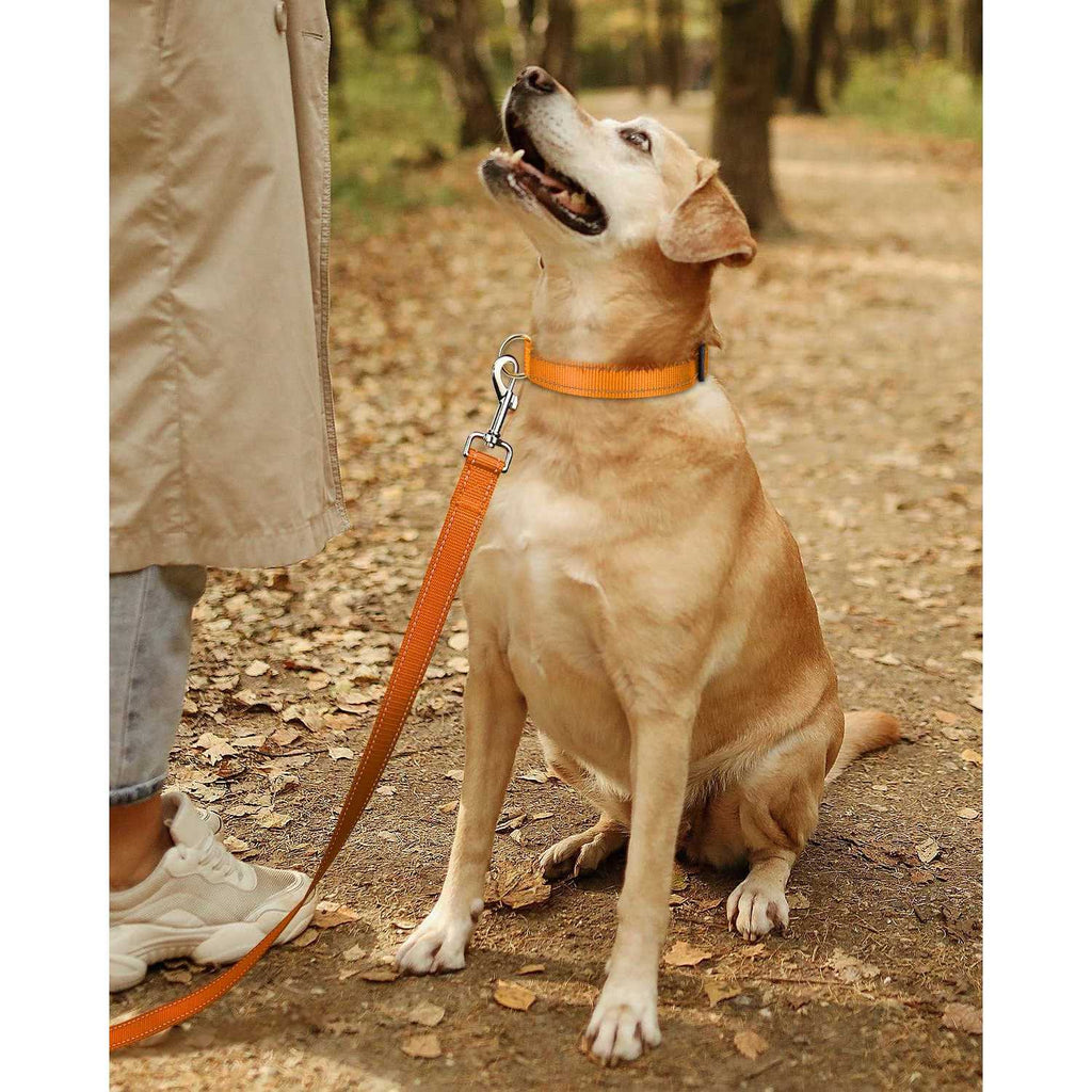Reflective Nylon Adjustable Dog Collar with Quick Release Buckle E26992