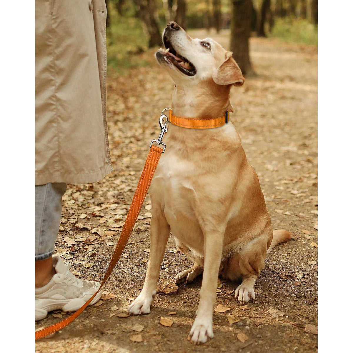 Reflective Nylon Adjustable Dog Collar with Quick Release Buckle E26992