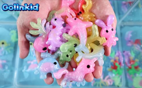 Water Elf Toy Kit, 20 Bottles 24 Molds Water Gel Craft Kit A5684