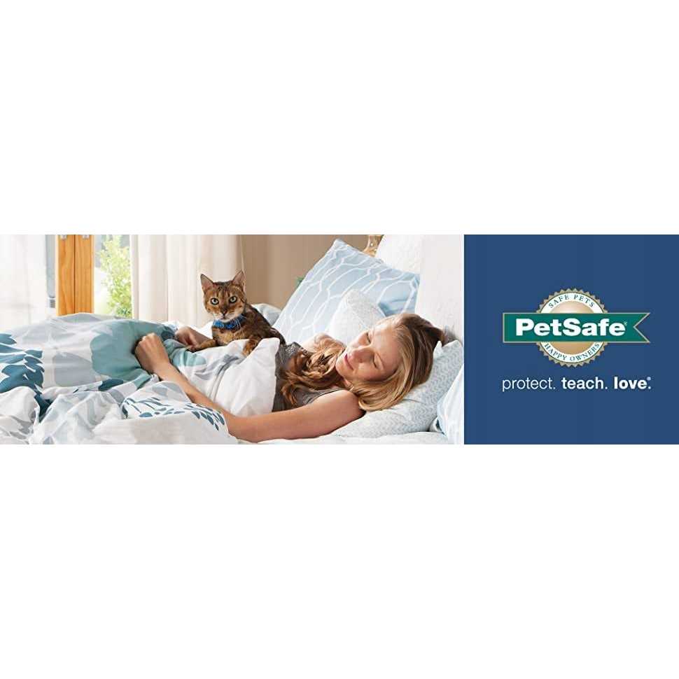 2-Pet Meal Splitter with Bowl E933581