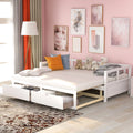 Twin Size White Wooden Daybed with 2 Drawers Q550243