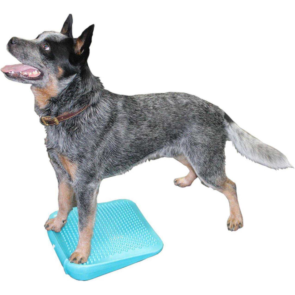 Pet Supplies Ramp G108567