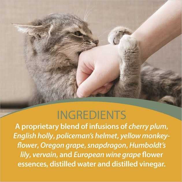 Botanical Animal Flower Essence L5355