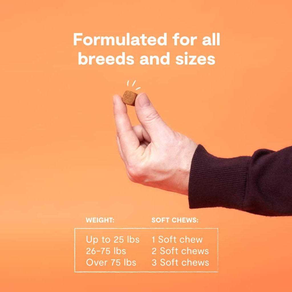 Probiotic Chews Dog Supplement Y57016