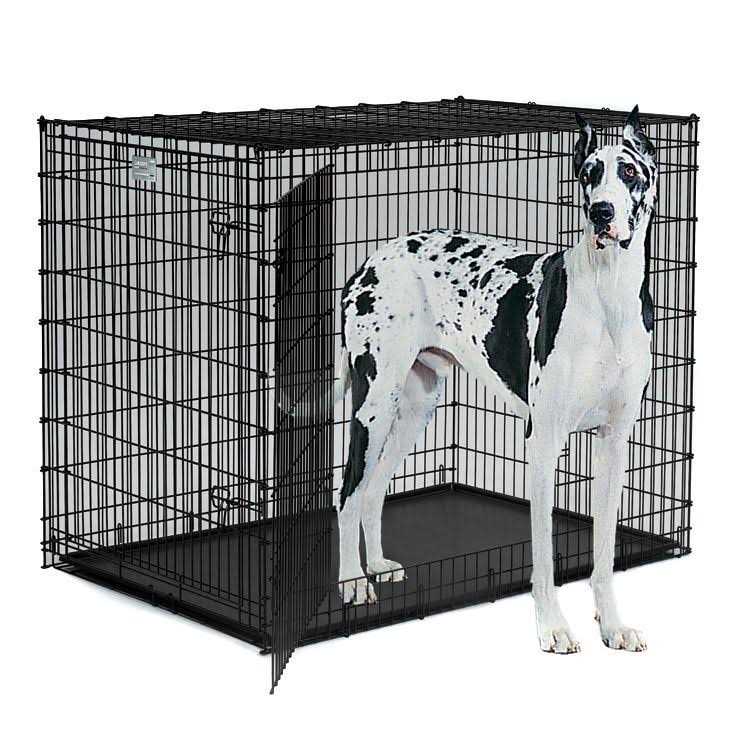 Double Door Dog Crate N265637