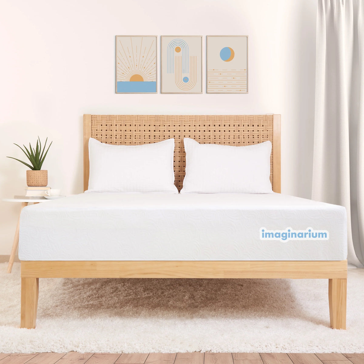 Twin Memory Foam and Coils Mattress B636