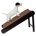 Foldable Pet Ramp W965264
