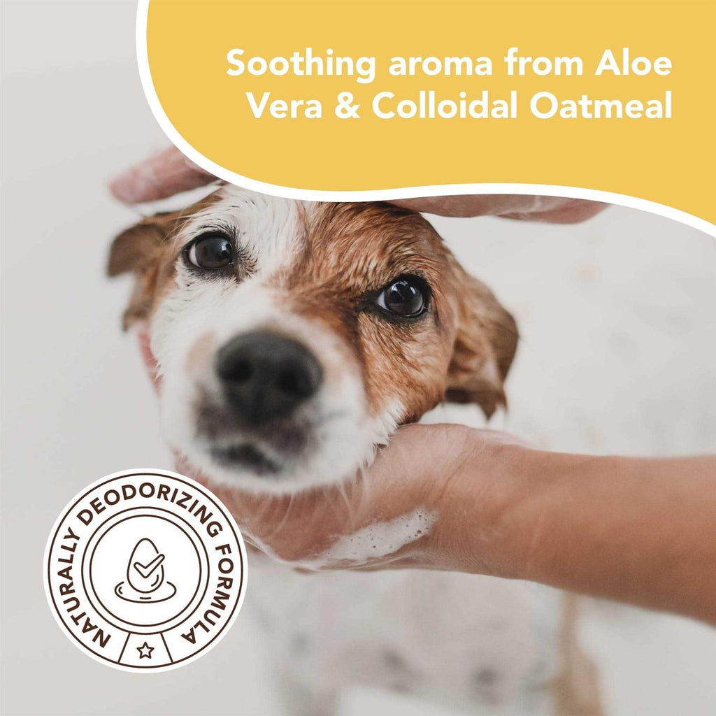 Oatmeal Sensitive Skin Dog Shampoo I406